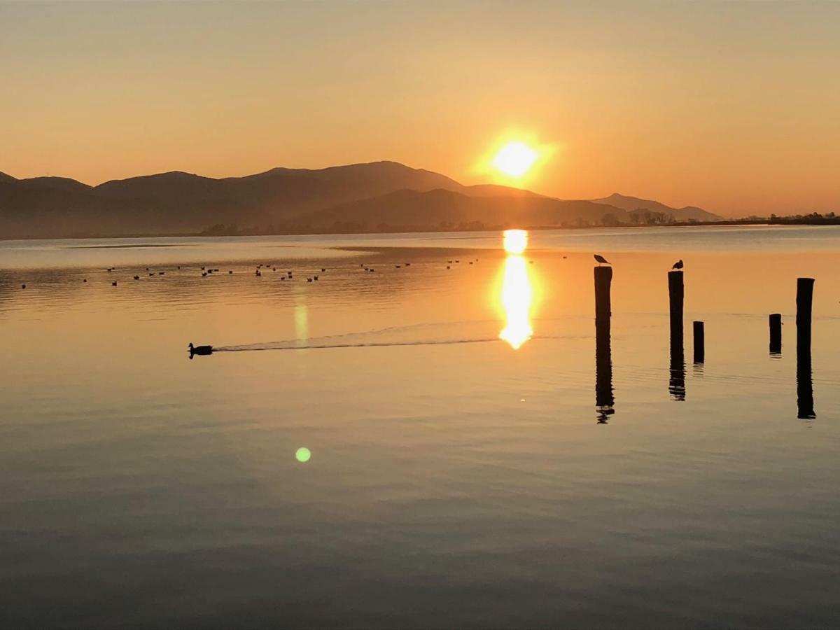 Vista Lago Torre del Lago Puccini Buitenkant foto